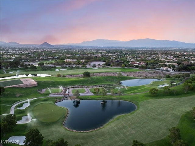 912 Pro Players Dr, Las Vegas, NV 89134 - photo 70