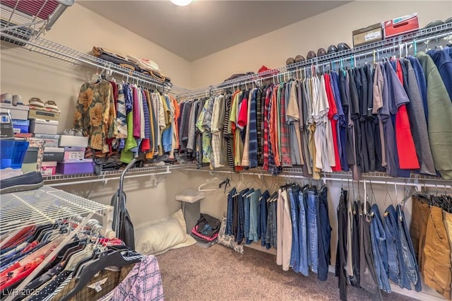 2225 Blackburn Hills Ave, Henderson, NV 89044 - spacious closet with carpet flooring
