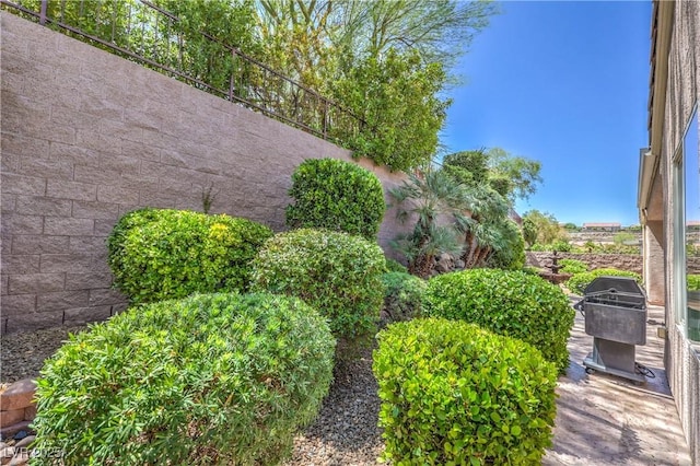 2225 Blackburn Hills Ave, Henderson, NV 89044 - view of yard