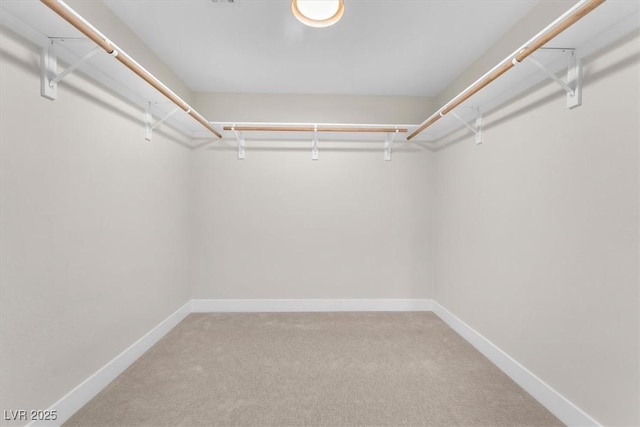 2868 Vista Del Sol Ave, Las Vegas, NV 89120 - walk in closet featuring light colored carpet