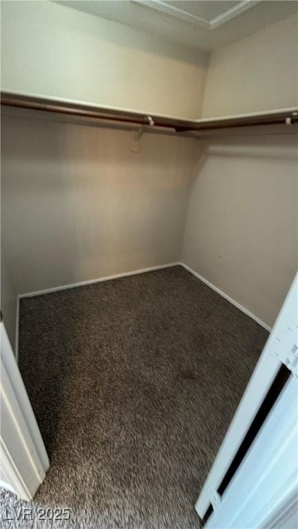 1081 Overture Dr, Las Vegas, NV 89123 - walk in closet with carpet flooring