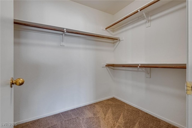 8771 Martinique Bay Ln, Las Vegas, NV 89147 - spacious closet with carpet flooring