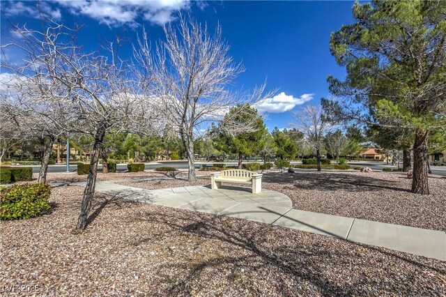 3101 Hayden Ct, Las Vegas, NV 89134 - view of community