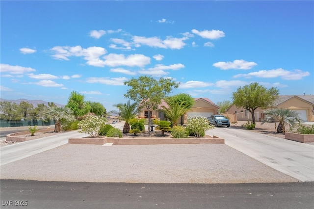 8808 Homestead Rd, Las Vegas, NV 89143 - photo 3