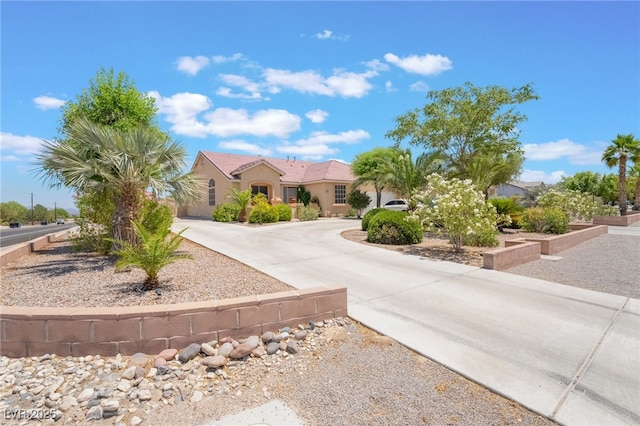 8808 Homestead Rd, Las Vegas, NV 89143 - photo 4