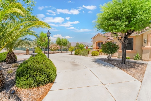 8808 Homestead Rd, Las Vegas, NV 89143 - photo 10