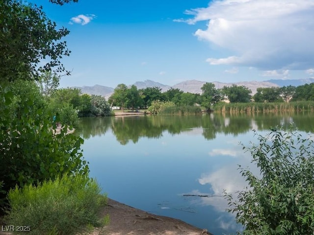 8808 Homestead Rd, Las Vegas, NV 89143 - photo 92