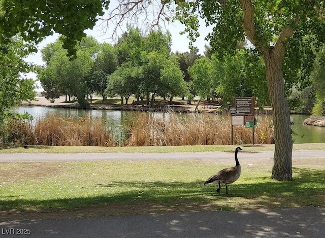 8808 Homestead Rd, Las Vegas, NV 89143 - photo 91