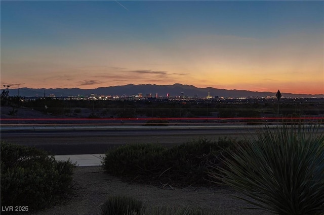 1037 Water Cove St, Henderson, NV 89011 - photo 37