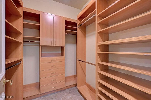 2877 Paradise Rd Unit 2105, Las Vegas, NV 89109 - view of spacious closet