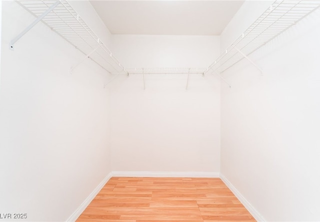 3060 Tarpon Dr Unit 104, Las Vegas, NV 89120 - walk in closet with light wood-type flooring