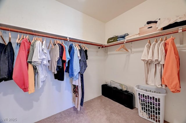 353 E Bonneville Ave Unit 313, Las Vegas, NV 89101 - walk in closet with carpet flooring