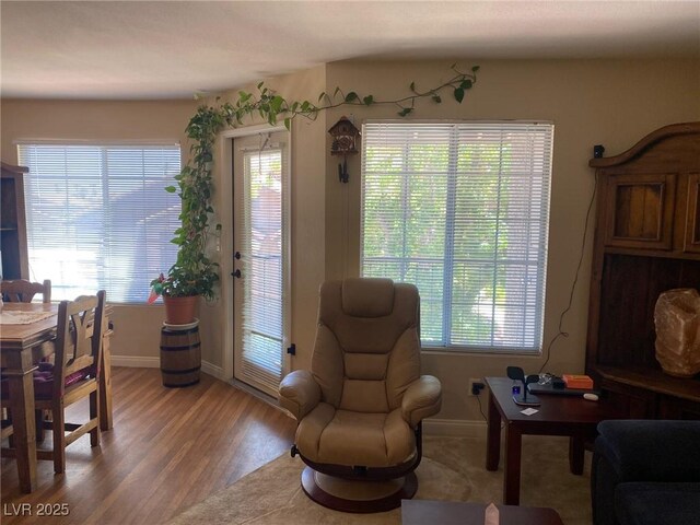 2750 S Durango Dr Unit 2141, Las Vegas, NV 89117 - living area featuring light wood-style floors and plenty of natural light