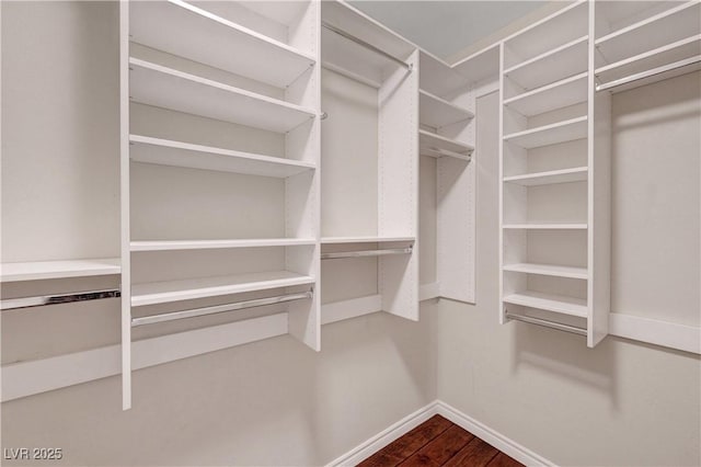 3079 Evening Mist Ave, Henderson, NV 89052 - spacious closet featuring dark wood-style flooring