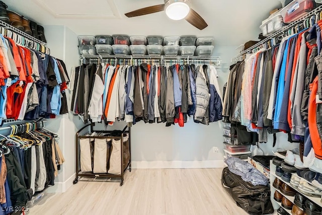 6103 Sundown Crest St, Las Vegas, NV 89113 - spacious closet featuring wood finished floors, ceiling fan, and attic access