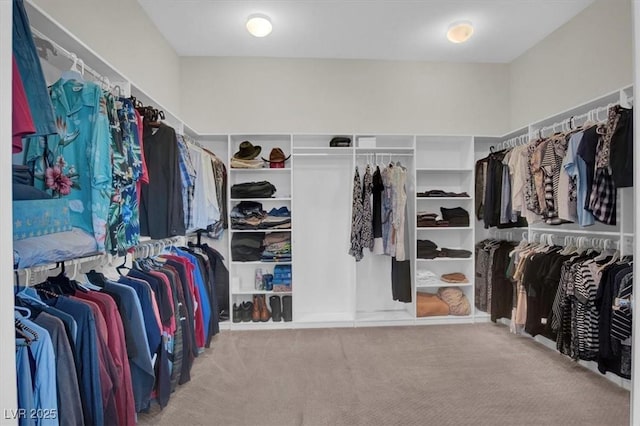 7230 Fresh Harvest Ave, Las Vegas, NV 89131 - photo 14