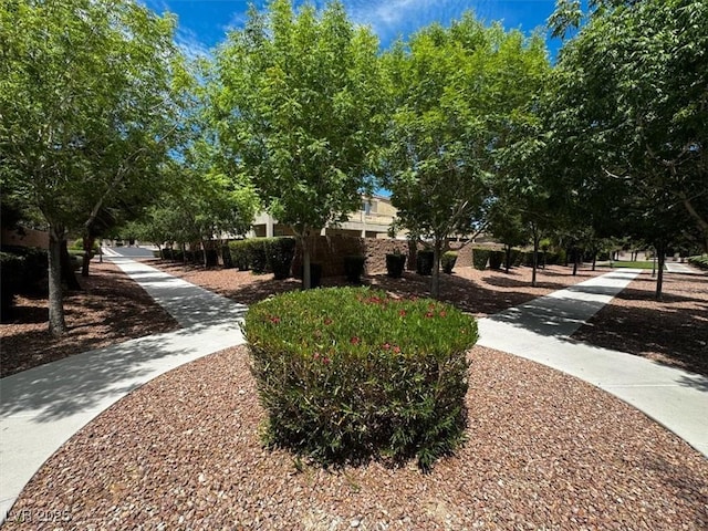7230 Fresh Harvest Ave, Las Vegas, NV 89131 - photo 40
