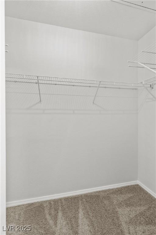 3608 Quetonia St Unit 204, Las Vegas, NV 89108 - spacious closet with carpet flooring
