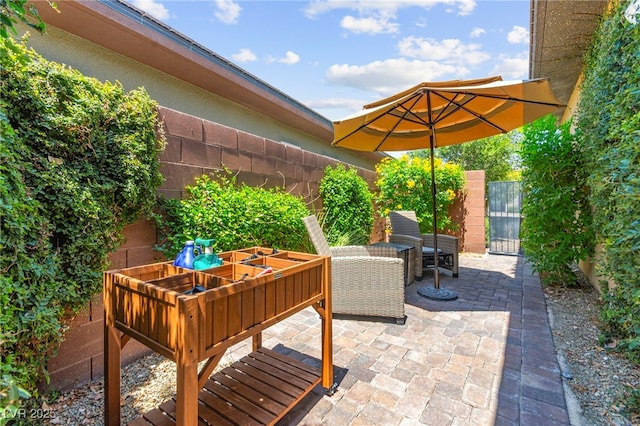6810 Silver Crescent St, Las Vegas, NV 89148 - fenced backyard featuring a patio and a gate
