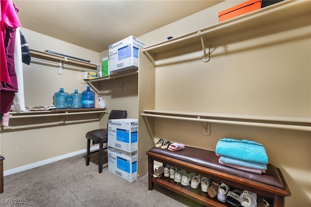 4656 E Desert Inn Rd, Las Vegas, NV 89121 - walk in closet with carpet