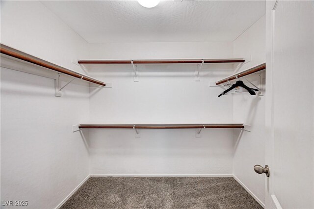 7704 Lots Hills Dr, Las Vegas, NV 89179 - walk in closet featuring carpet floors