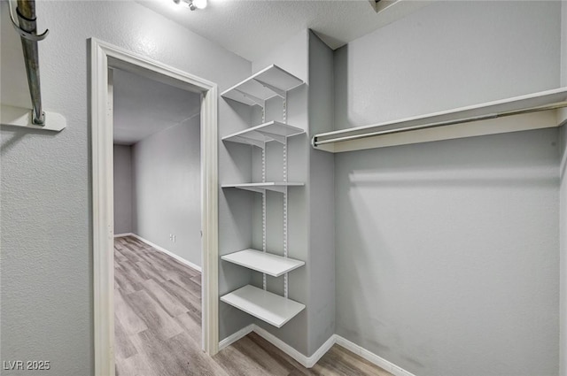 198 Winterport St, Henderson, NV 89074 - walk in closet featuring wood finished floors