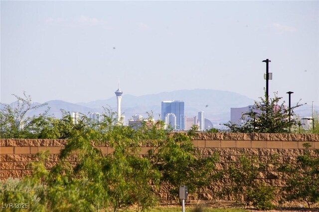 7037 Tilligerry St, North Las Vegas, NV 89084 - view of mountain background
