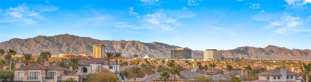 11680 Evergreen Creek Ln, Las Vegas, NV 89135 - mountain view