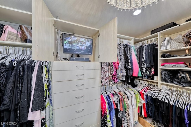 7311 Chaparral Cove Ln, Las Vegas, NV 89131 - view of walk in closet
