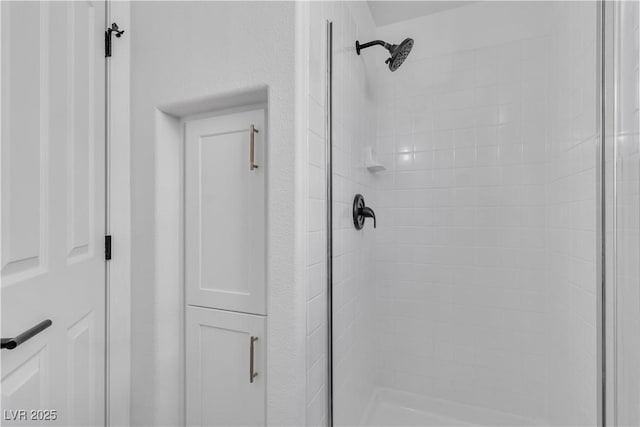 1551 Boundary Peak Way, Las Vegas, NV 89135 - bathroom view of a shower stall