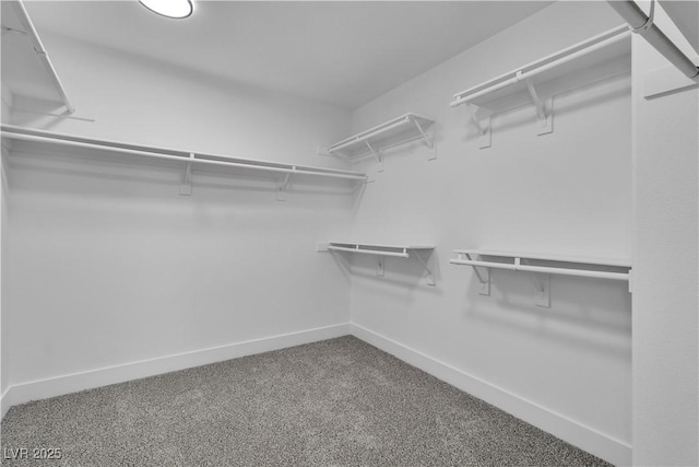 1551 Boundary Peak Way, Las Vegas, NV 89135 - spacious closet with carpet flooring
