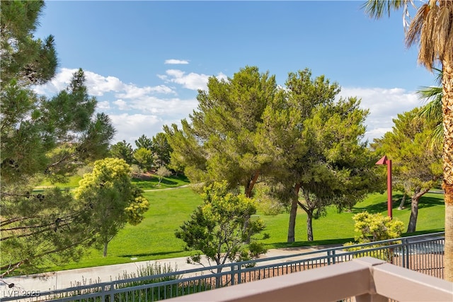 1551 Boundary Peak Way, Las Vegas, NV 89135 - view of community