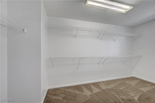 2261 Dalton Ridge Ct, North Las Vegas, NV 89031 - spacious closet featuring carpet