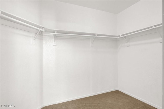 8612 Chiquita Dr, Las Vegas, NV 89128 - walk in closet with carpet flooring
