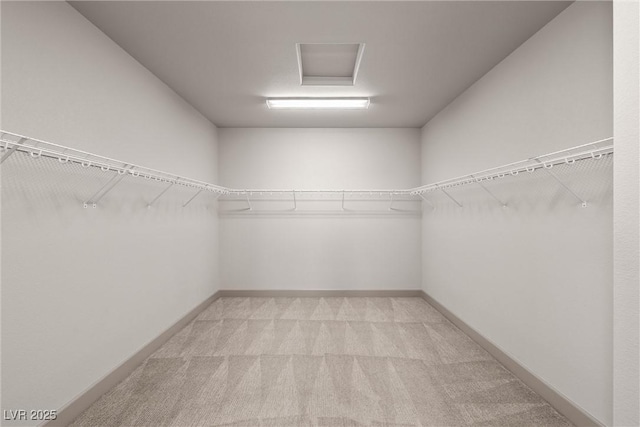 8753 Mann St, Las Vegas, NV 89139 - spacious closet with light carpet and attic access