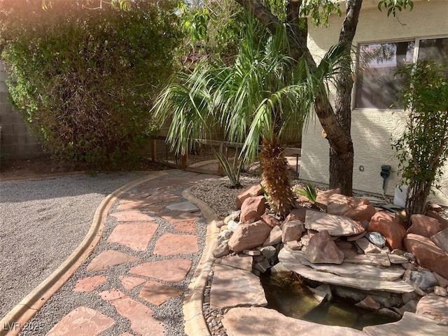 13 Desert Dawn Ln, Henderson, NV 89074 - view of yard