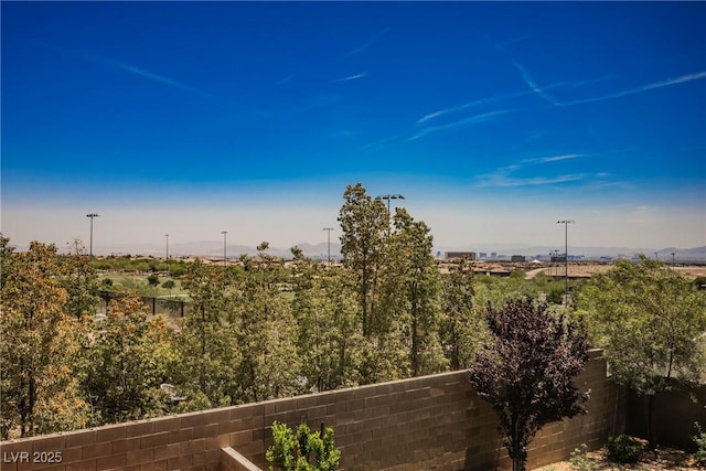 920 Cirrus Cloud Ave, Las Vegas, NV 89138 - photo 11