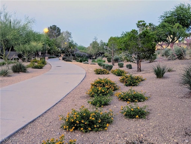 9728 Echo Hills Dr, Las Vegas, NV 89134 - photo 36