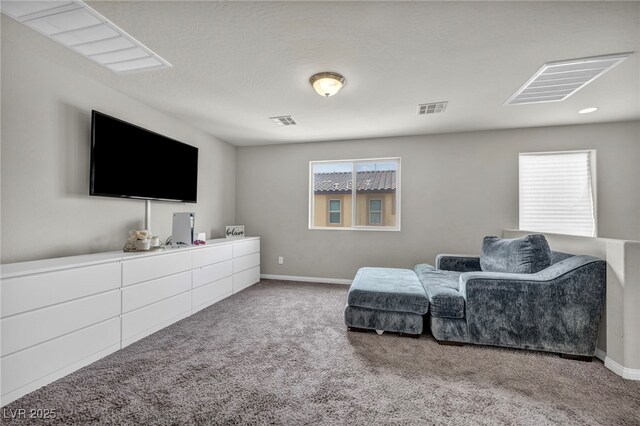 5232 Mountain Garland Ln, North Las Vegas, NV 89081 - photo 21