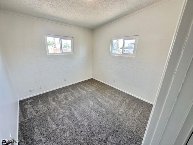 4924 Carmen Blvd, Las Vegas, NV 89108 - unfurnished room featuring a textured ceiling, dark carpet, and brick wall