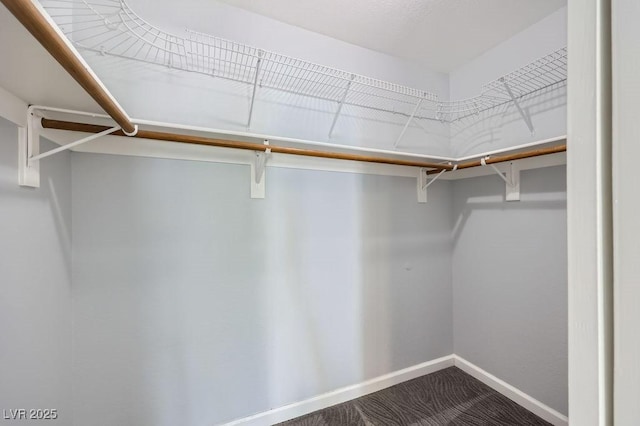 8309 Windrush Ave, Las Vegas, NV 89117 - view of walk in closet