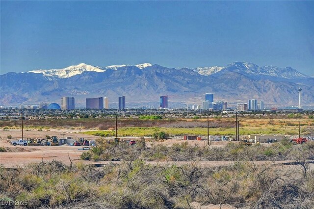 1165 Cactus Rock St, Henderson, NV 89011 - photo 3