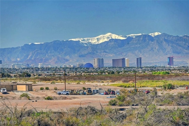 1165 Cactus Rock St, Henderson, NV 89011 - photo 42
