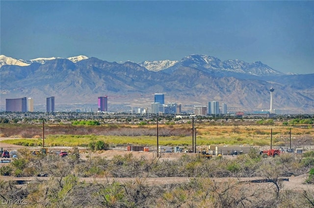 1165 Cactus Rock St, Henderson, NV 89011 - photo 43