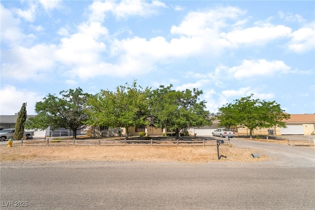 2230 Wagon Ave, Pahrump, NV 89048 - view of property hidden behind natural elements
