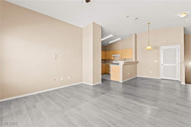 9338 Square Dance Pl Unit 101, Las Vegas, NV 89178 - unfurnished living room featuring wood finished floors and high vaulted ceiling