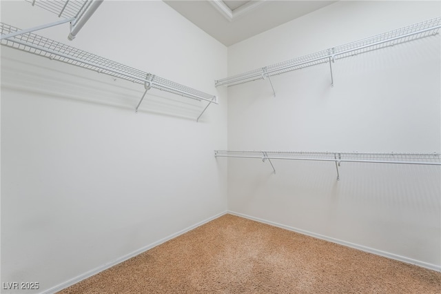 3029 Brownbirds Nest Dr, Henderson, NV 89052 - walk in closet featuring carpet flooring and attic access