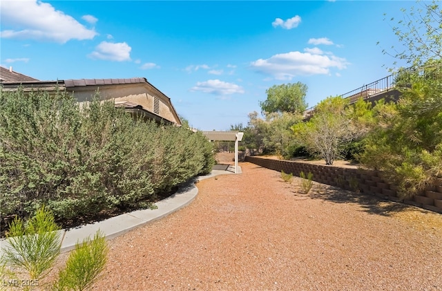 3029 Brownbirds Nest Dr, Henderson, NV 89052 - view of yard