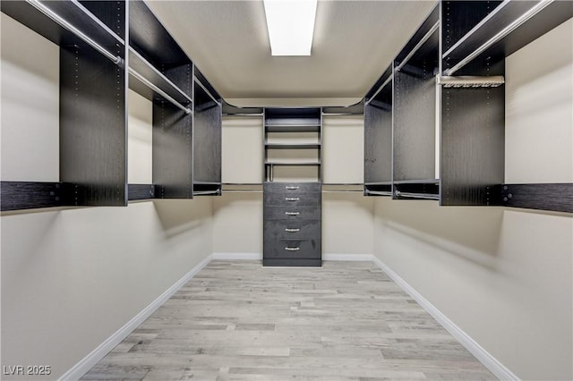 8565 Silver Coast St, Las Vegas, NV 89139 - walk in closet featuring wood finished floors