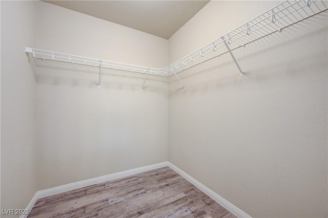 8565 Silver Coast St, Las Vegas, NV 89139 - spacious closet with light wood-type flooring